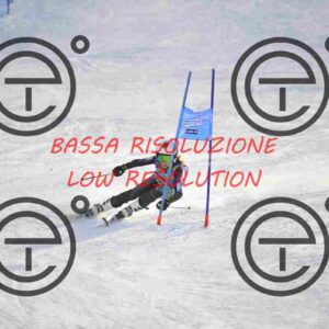 _D3S0913_tn
