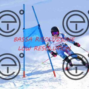 NIC_1225_tn
