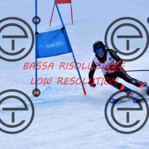 NIC_1262_tn