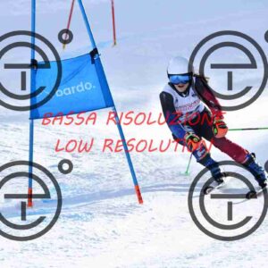NIC_1295_tn