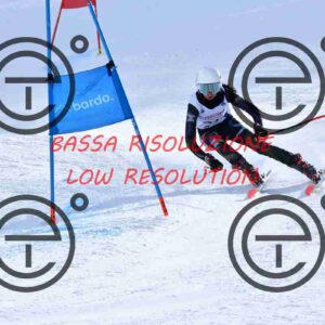 NIC_1308_tn