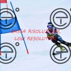 NIC_1405_tn
