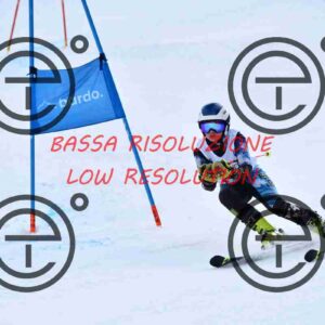 NIC_1406_tn