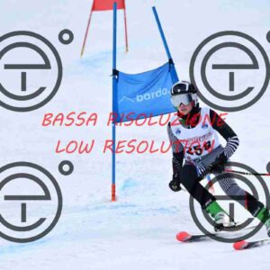 NIC_1420_tn