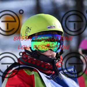 NIC_3341_tn