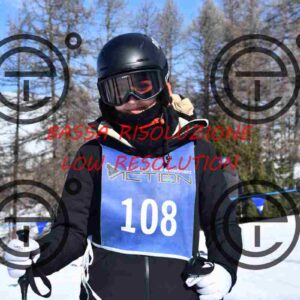 NIC_3385_tn