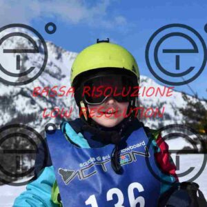 NIC_3461_tn
