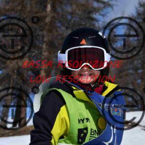 NIC_3465_tn