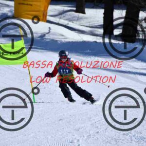 NIC_3573_tn
