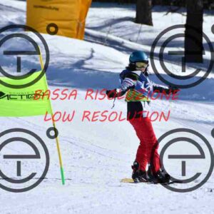 NIC_3623_tn