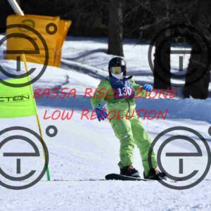 NIC_3642_tn
