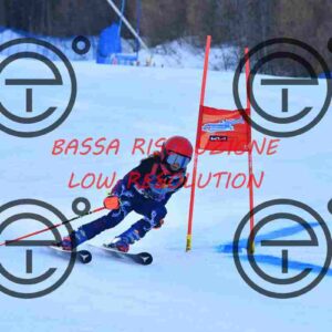 NIC_3955_tn