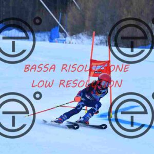 NIC_3956_tn
