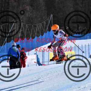 NIC_6254_tn
