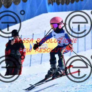 NIC_6380_tn