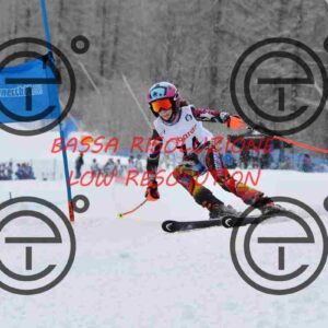 NIC_6624_tn