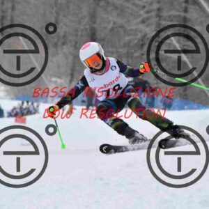 NIC_6639_tn
