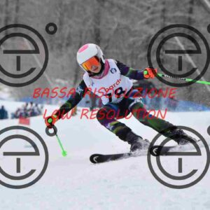 NIC_6640_tn