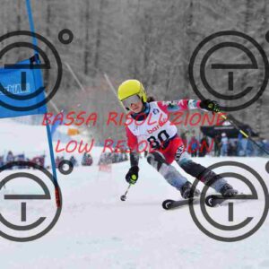 NIC_6643_tn