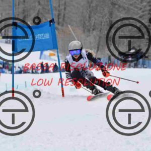 NIC_6674_tn