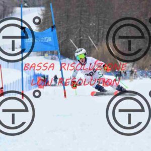 NIC_7151_tn