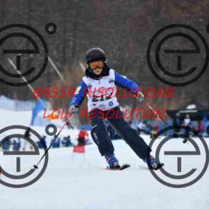 NIC_7194_tn