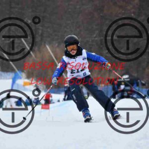 NIC_7195_tn