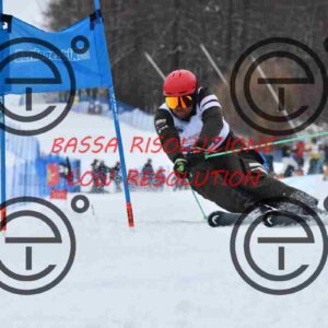 NIC_7209_tn