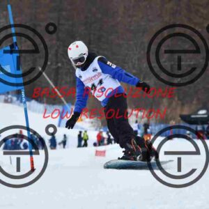 NIC_7275_tn