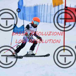 NIC_8004_tn