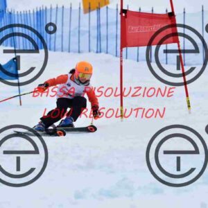 NIC_8134_tn