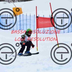 NIC_8181_tn