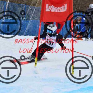 NIC_8654_tn