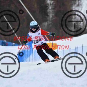 NIC_8735_tn