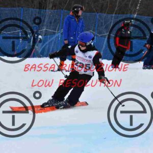 NIC_8770_tn