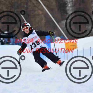 NIC_8782_tn