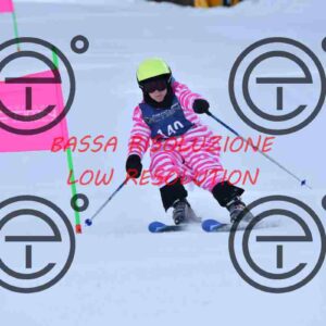 NIC_9032_tn