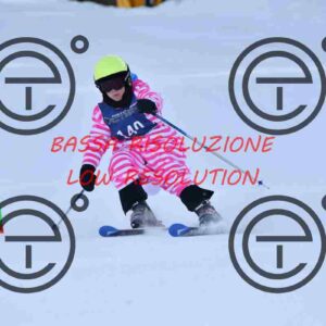 NIC_9033_tn