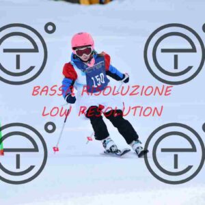 NIC_9085_tn