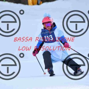 NIC_9093_tn