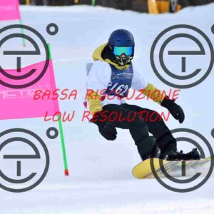 NIC_9142_tn
