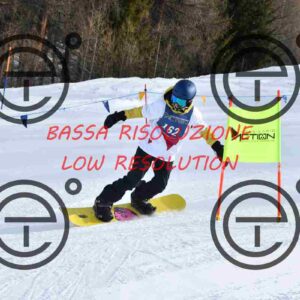 NIC_9146_tn