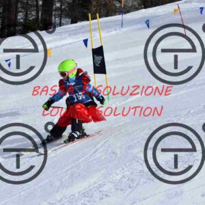 NIC_9225_tn