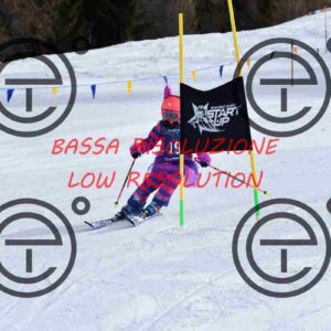 NIC_9334_tn