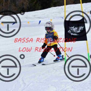 NIC_9360_tn