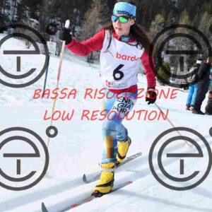 NIC_0742_tn
