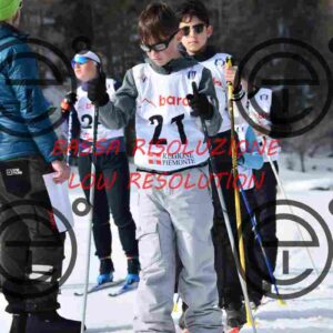 NIC_0811_tn