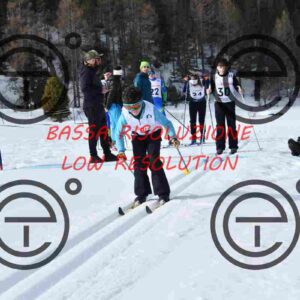 NIC_0826_tn