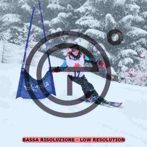 NIC_7407_tn