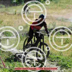 NIC_0478_tn